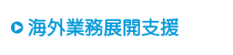 海外業務展開支援